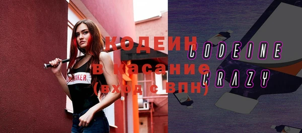 индика Куйбышев