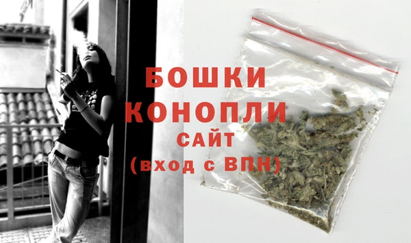 индика Куйбышев