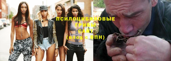 a pvp Кулебаки
